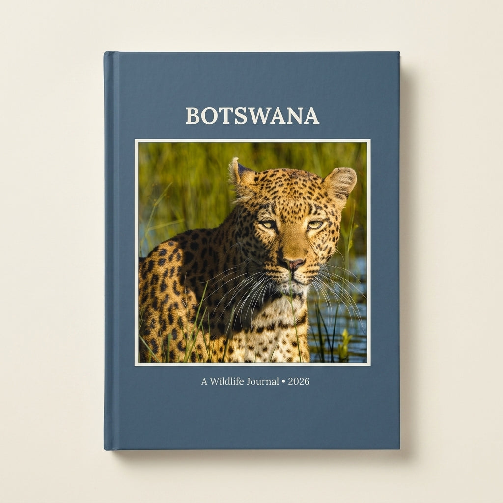 Silvergrain Press Premium Hardcover photo book in A4 portrait format with matte cover