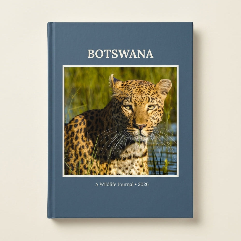 Silvergrain Press Premium Hardcover photo book in A4 portrait format with matte cover